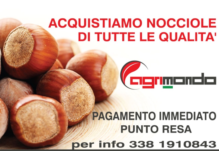 Ritiro nocciole 2016