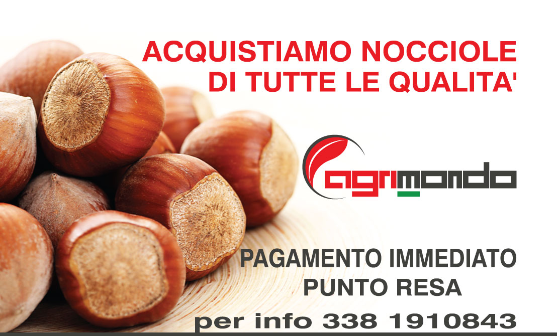 Ritiro nocciole 2016