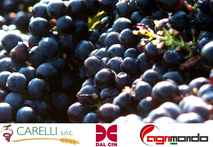 Prodotti per l’enologia Dal Cin