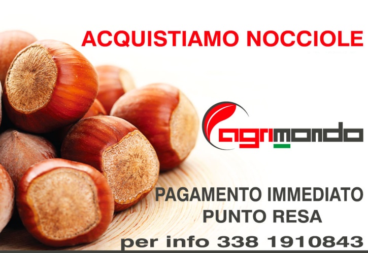 Ritiro nocciole 2018