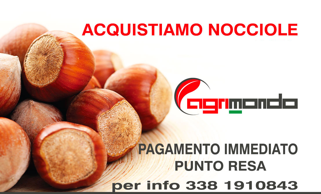 Ritiro nocciole 2018 Agrimondo