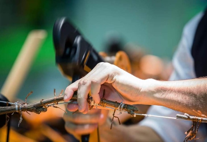 Promozione Pellenc Fixion2/Vinion per legatura e potatura vite