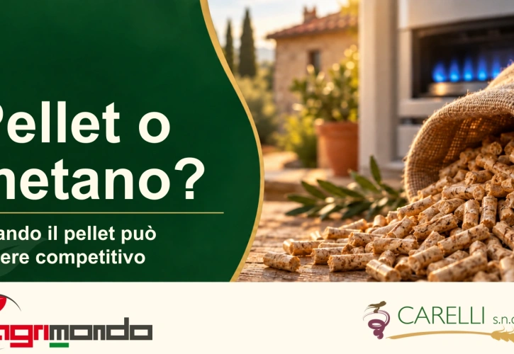 Pellet e metano a confronto: simulazione dei costi di riscaldamento a parità di calore utile.